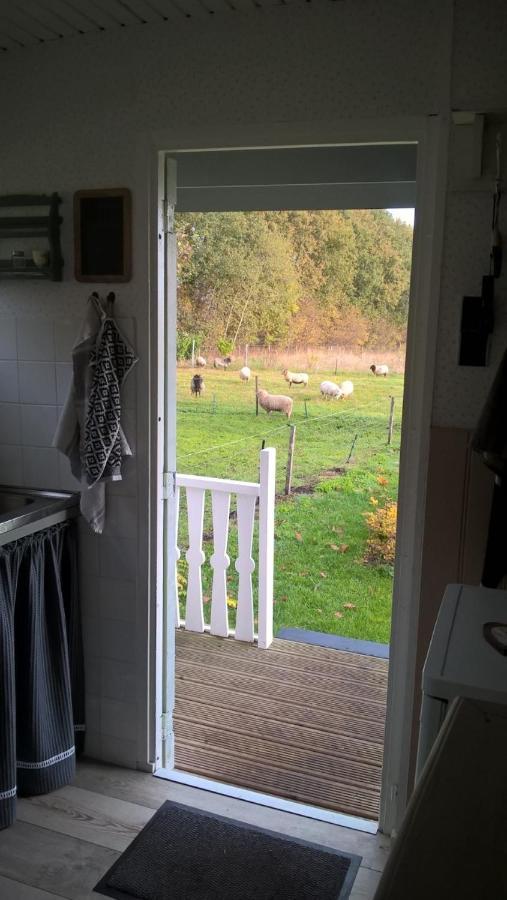 Pipowagen Elsebein Groningen Westerwolde Unieke Ligging Met Eigen Tuin En Vrij Uitzicht Over Veld Naar Natuurgebied Onstwedde Eksteriør billede