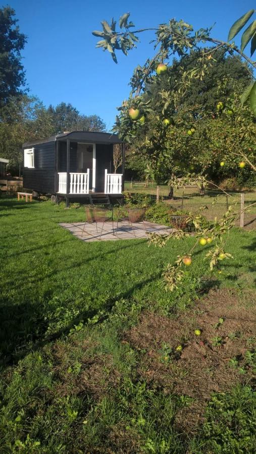 Pipowagen Elsebein Groningen Westerwolde Unieke Ligging Met Eigen Tuin En Vrij Uitzicht Over Veld Naar Natuurgebied Onstwedde Eksteriør billede