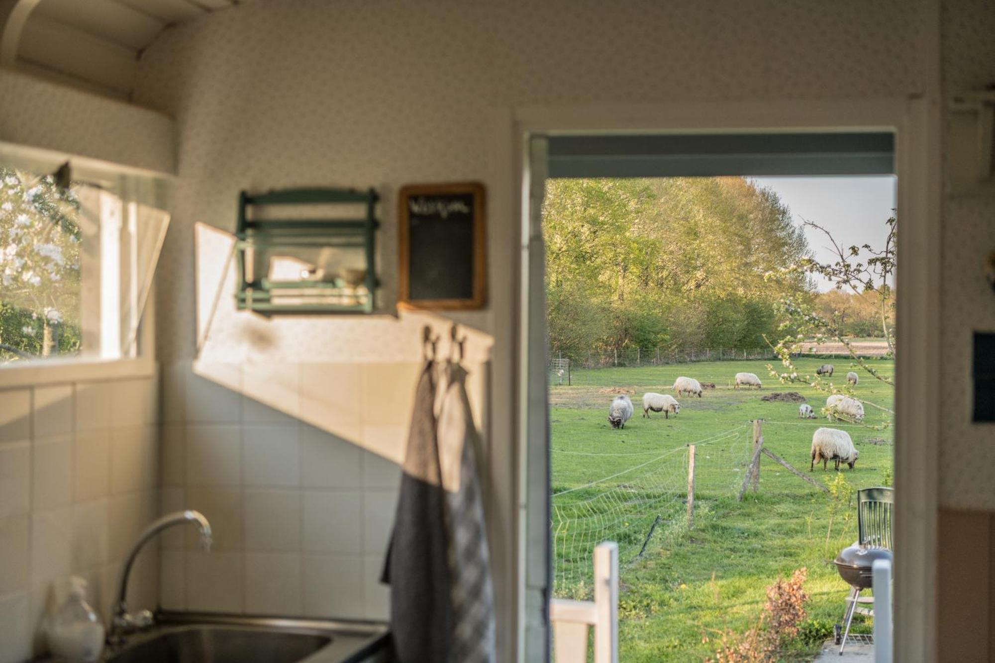 Pipowagen Elsebein Groningen Westerwolde Unieke Ligging Met Eigen Tuin En Vrij Uitzicht Over Veld Naar Natuurgebied Onstwedde Eksteriør billede