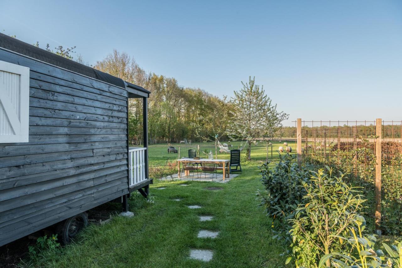 Pipowagen Elsebein Groningen Westerwolde Unieke Ligging Met Eigen Tuin En Vrij Uitzicht Over Veld Naar Natuurgebied Onstwedde Eksteriør billede