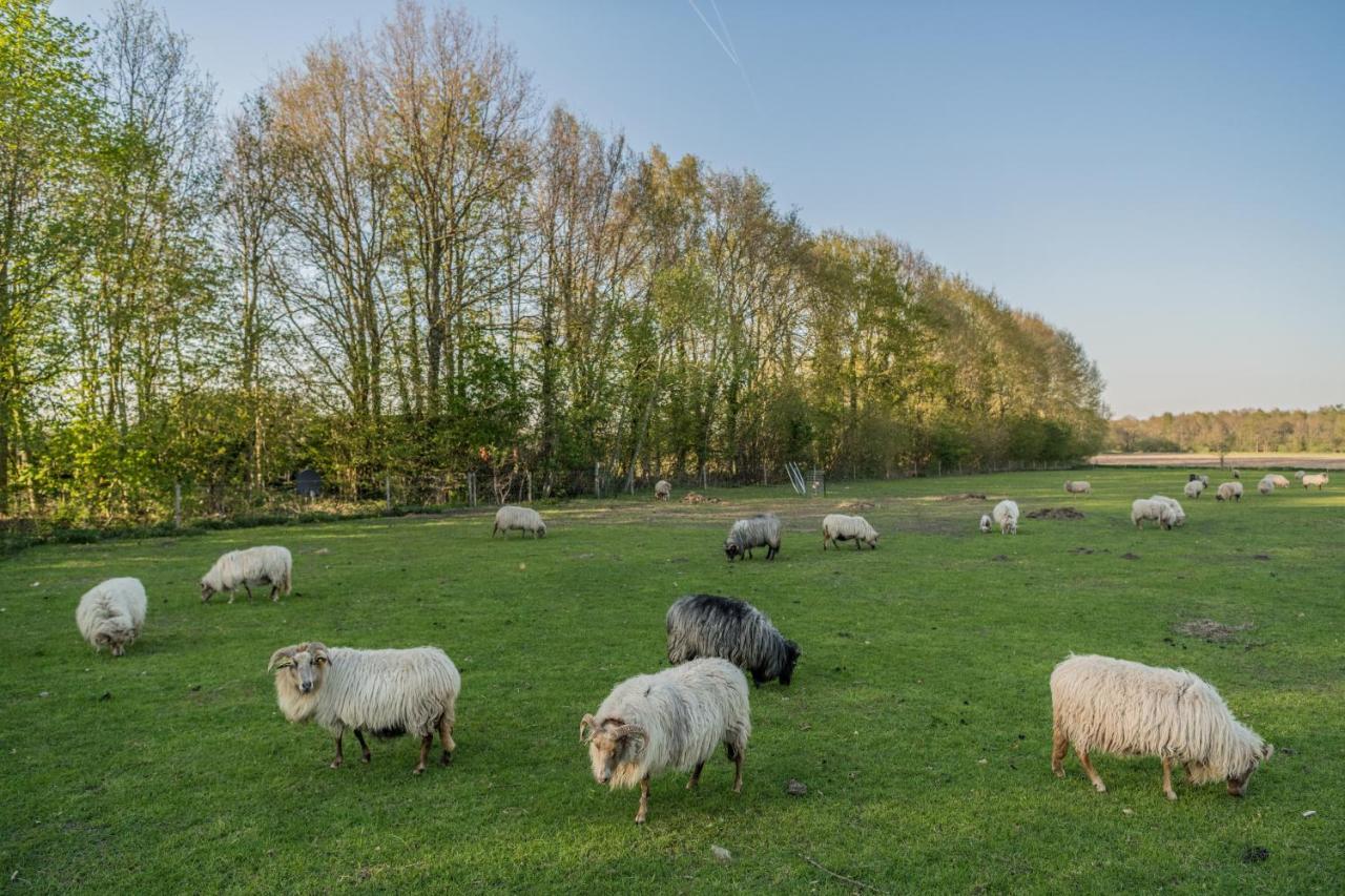 Pipowagen Elsebein Groningen Westerwolde Unieke Ligging Met Eigen Tuin En Vrij Uitzicht Over Veld Naar Natuurgebied Onstwedde Eksteriør billede